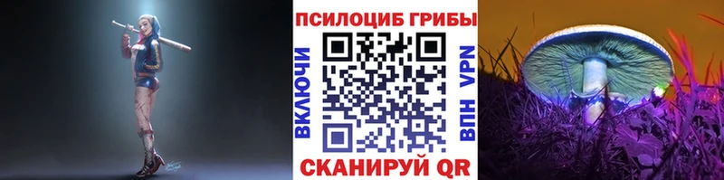 Псилоцибиновые грибы GOLDEN TEACHER  Медногорск 